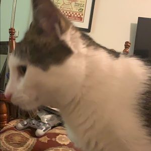 Meet your Posher, Ethan